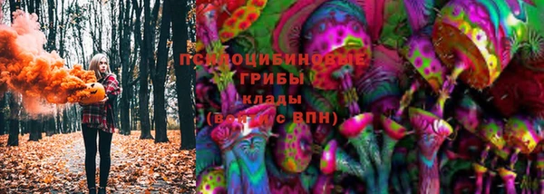 прущие крисы Арсеньев