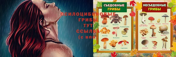 прущие крисы Арсеньев
