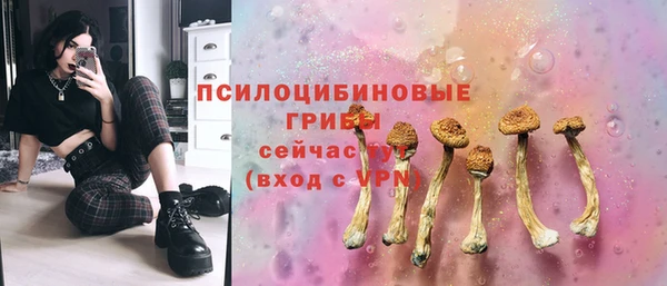 прущие крисы Арсеньев