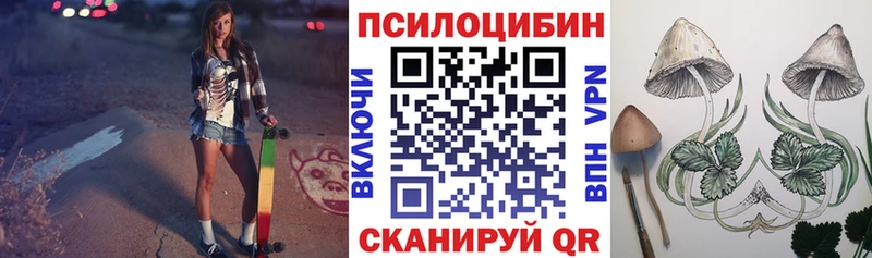 цены   мега ТОР  Галлюциногенные грибы Psilocybine cubensis  Светлогорск 